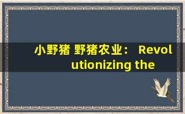 小野猪 野猪农业： Revolutionizing the way we raise animals
